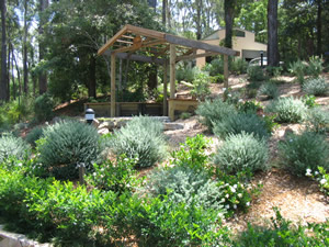 Visit Central Coast local attractions while staying at Rileys accommodation Avoca Central Coast